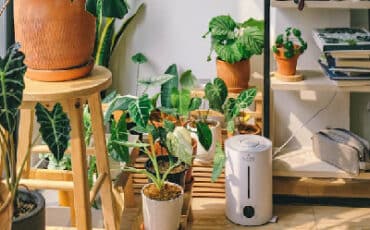 Benefits of Humidifiers