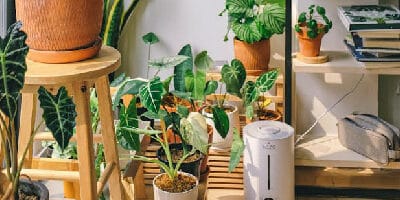 Benefits of Humidifiers