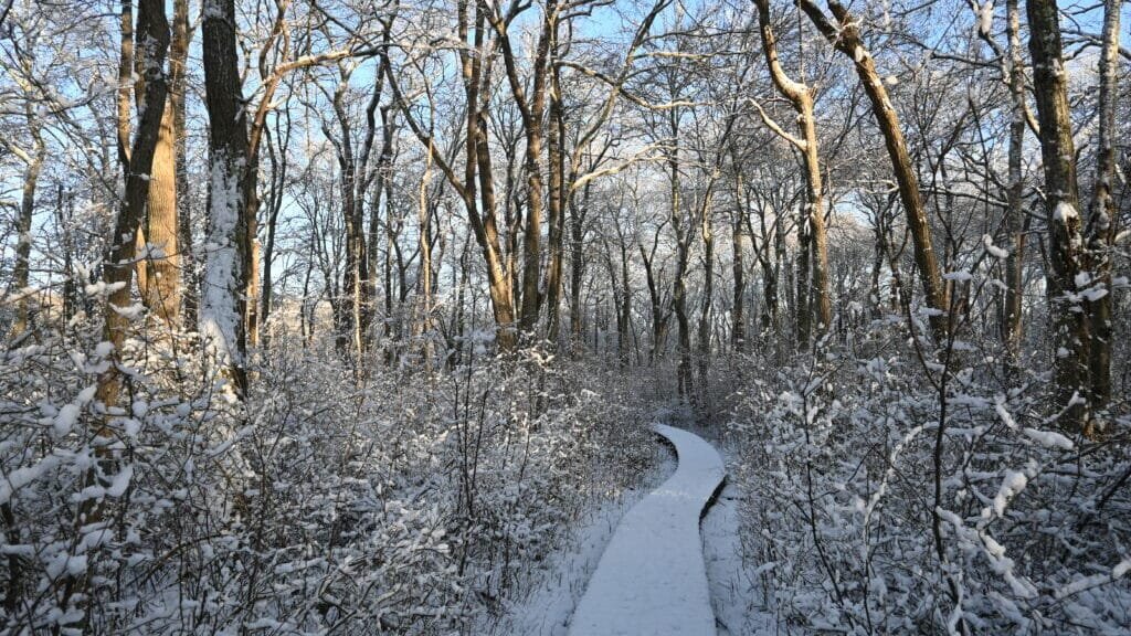 The Town in Every State That Belongs in a Hallmark Winter Movie 39