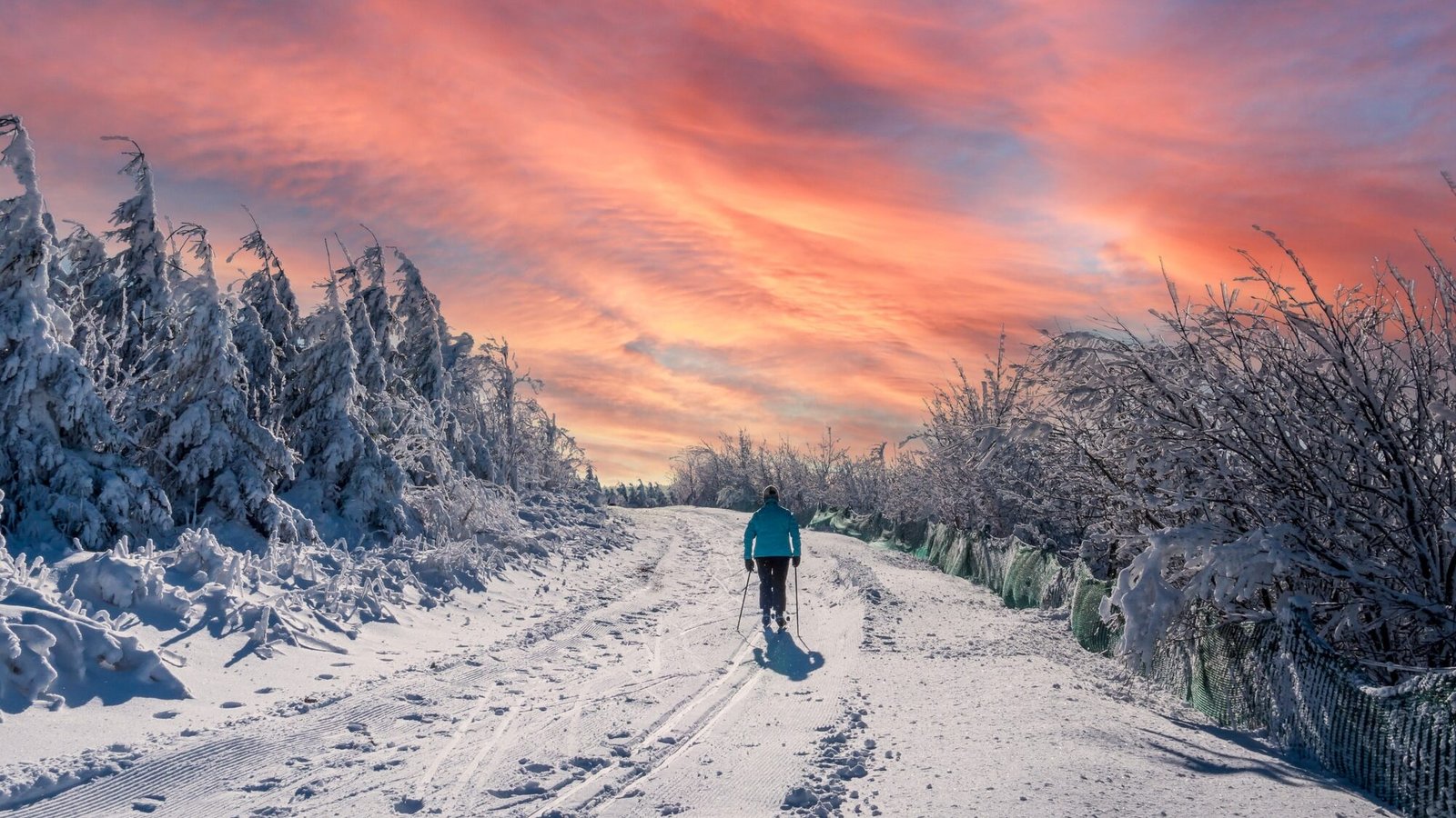The Town in Every State That Belongs in a Hallmark Winter Movie 49