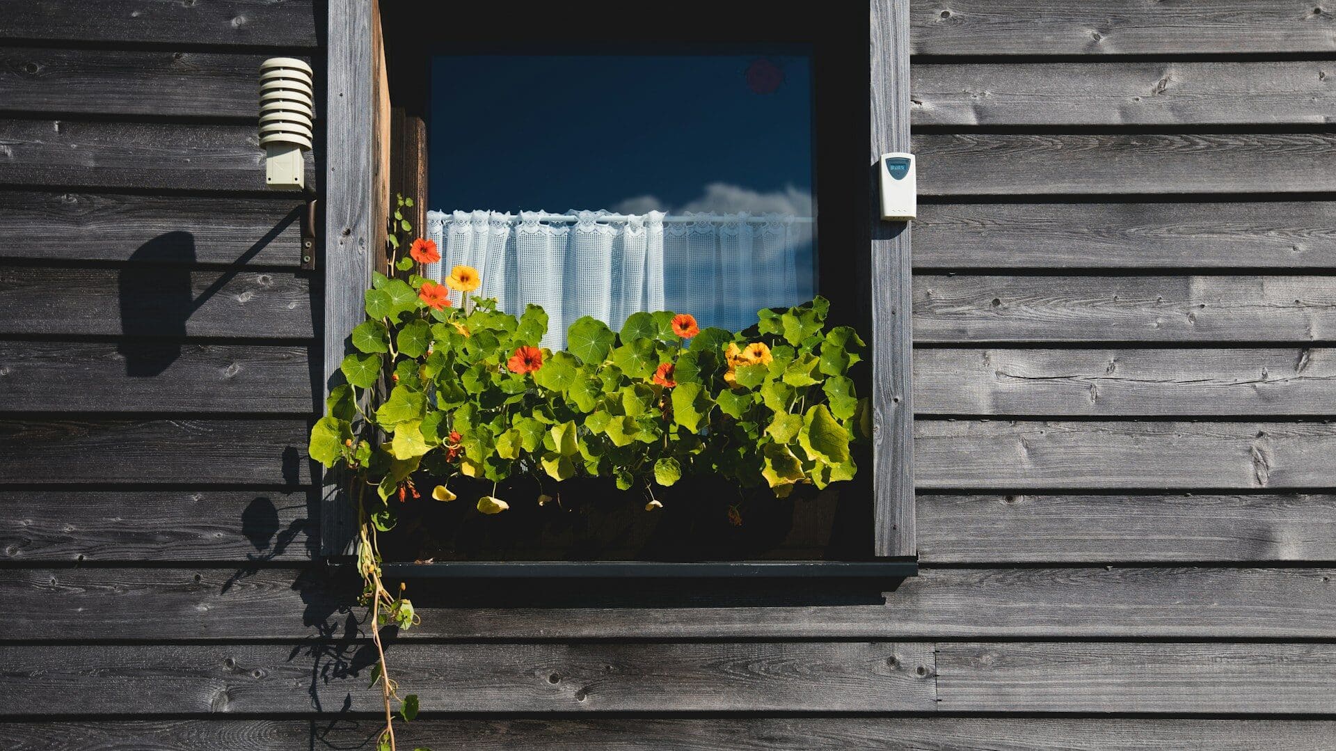 Weather Station Placement Guide 2