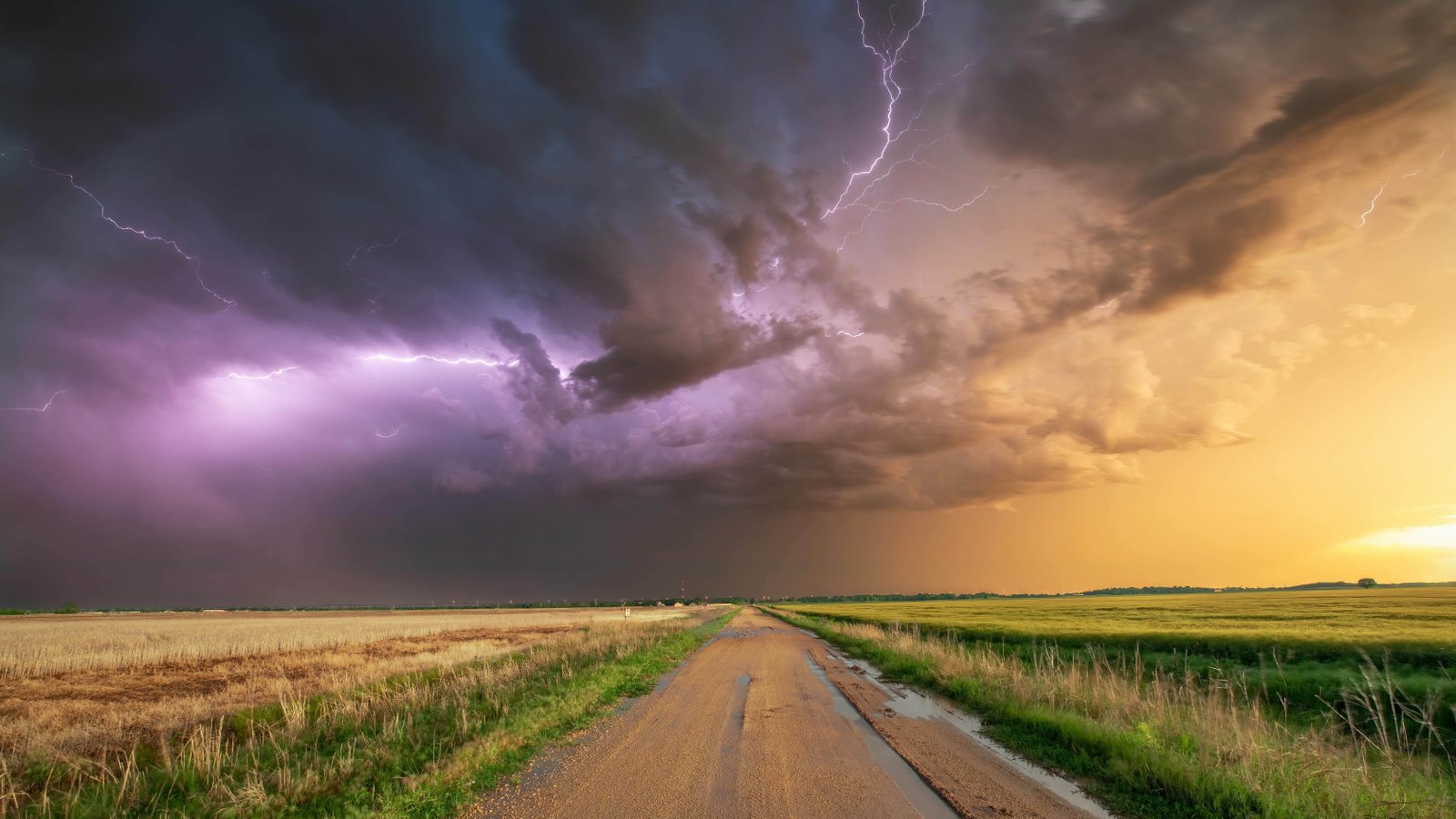 18 Things Only People From Hurricane Country Will Understand 14