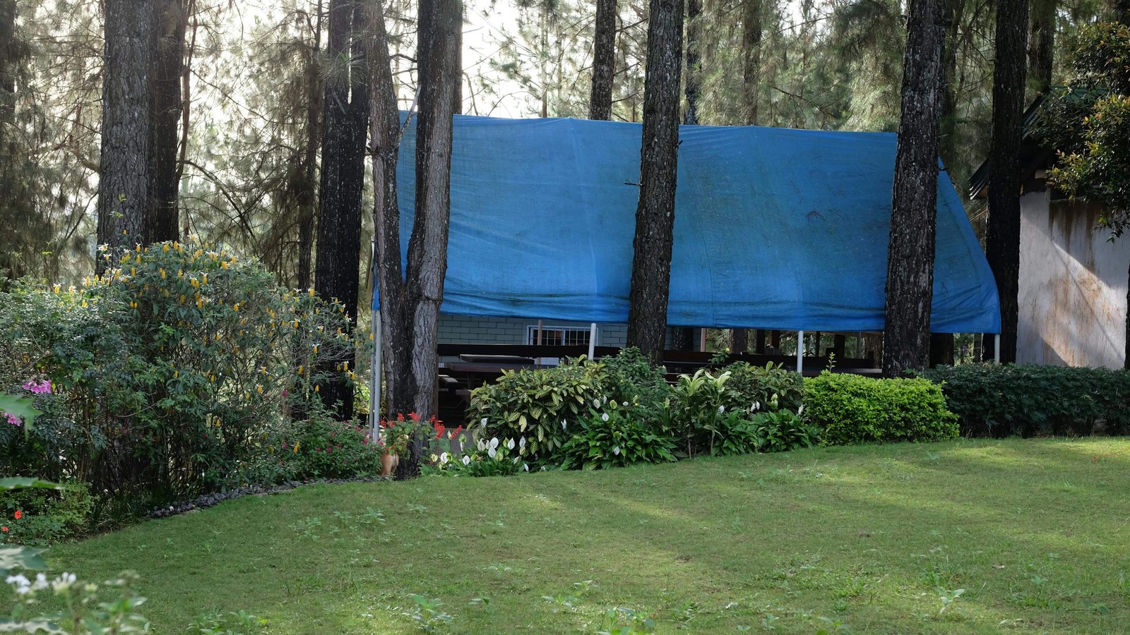 18 Things Only People From Hurricane Country Will Understand 8