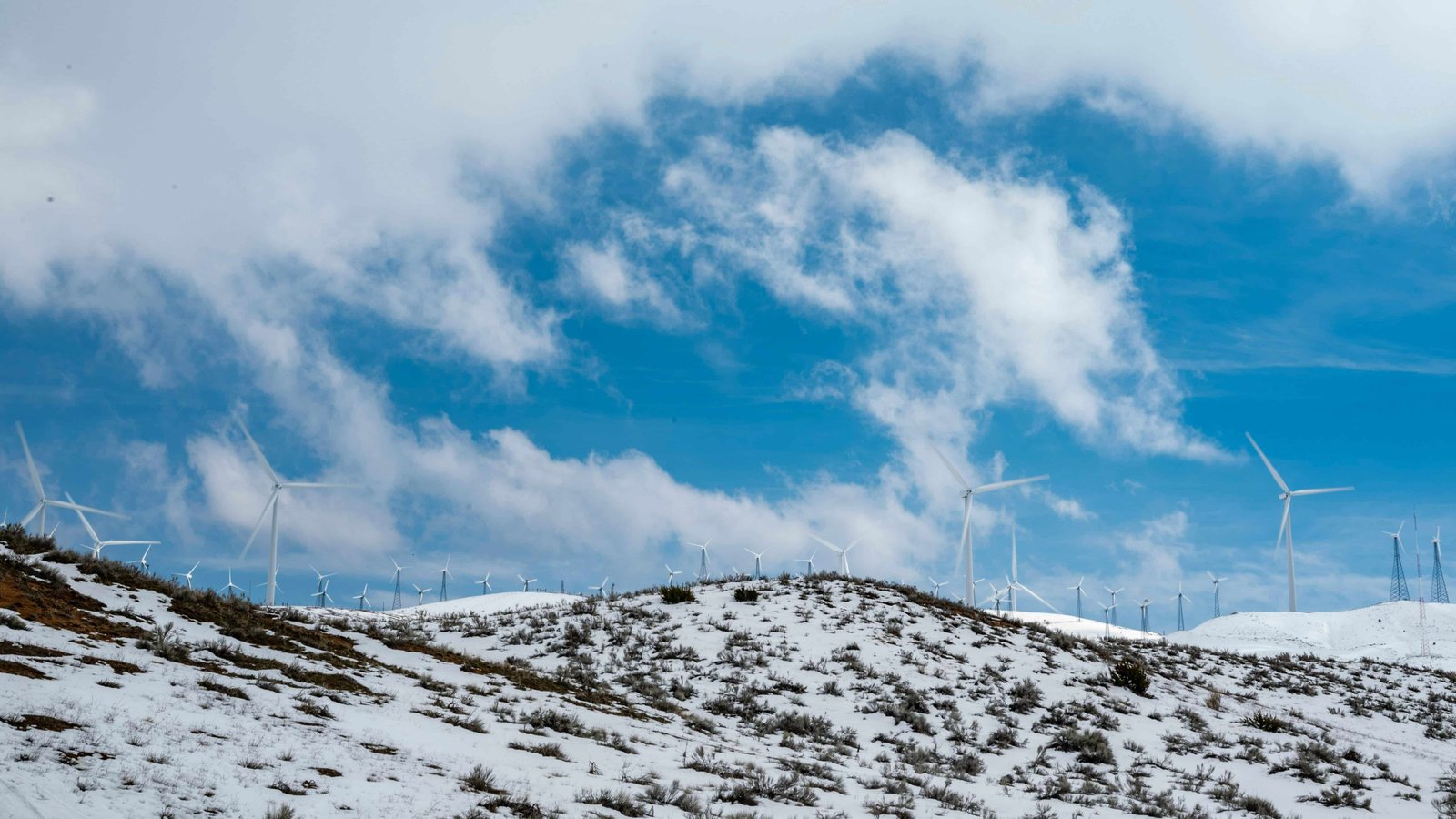 Only People Who Grew Up in the Midwest Will Understand These 15 Winter Struggles 3