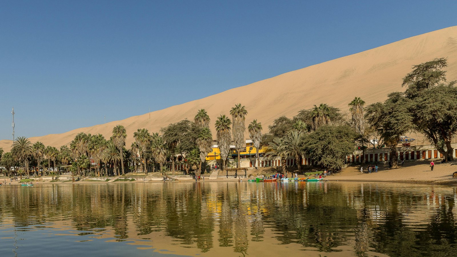 12 Real-World Examples of How Microclimates Create Completely Different Weather Just Miles Apart 9