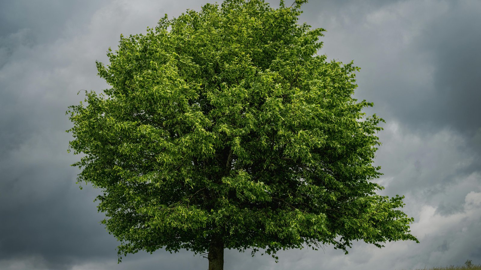 18 Things Only People From Hurricane Country Will Understand 17