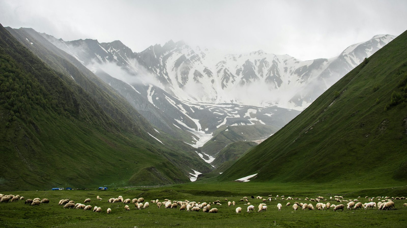 12 Real-World Examples of How Microclimates Create Completely Different Weather Just Miles Apart 3