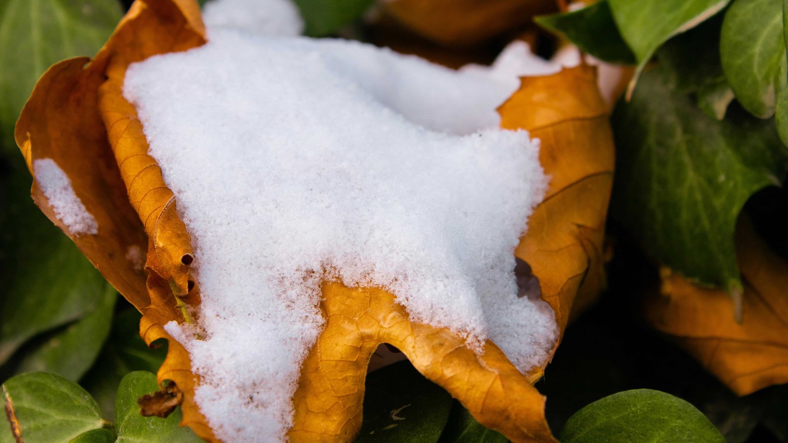 15 Signs You Grew Up Somewhere With Real Winters 9