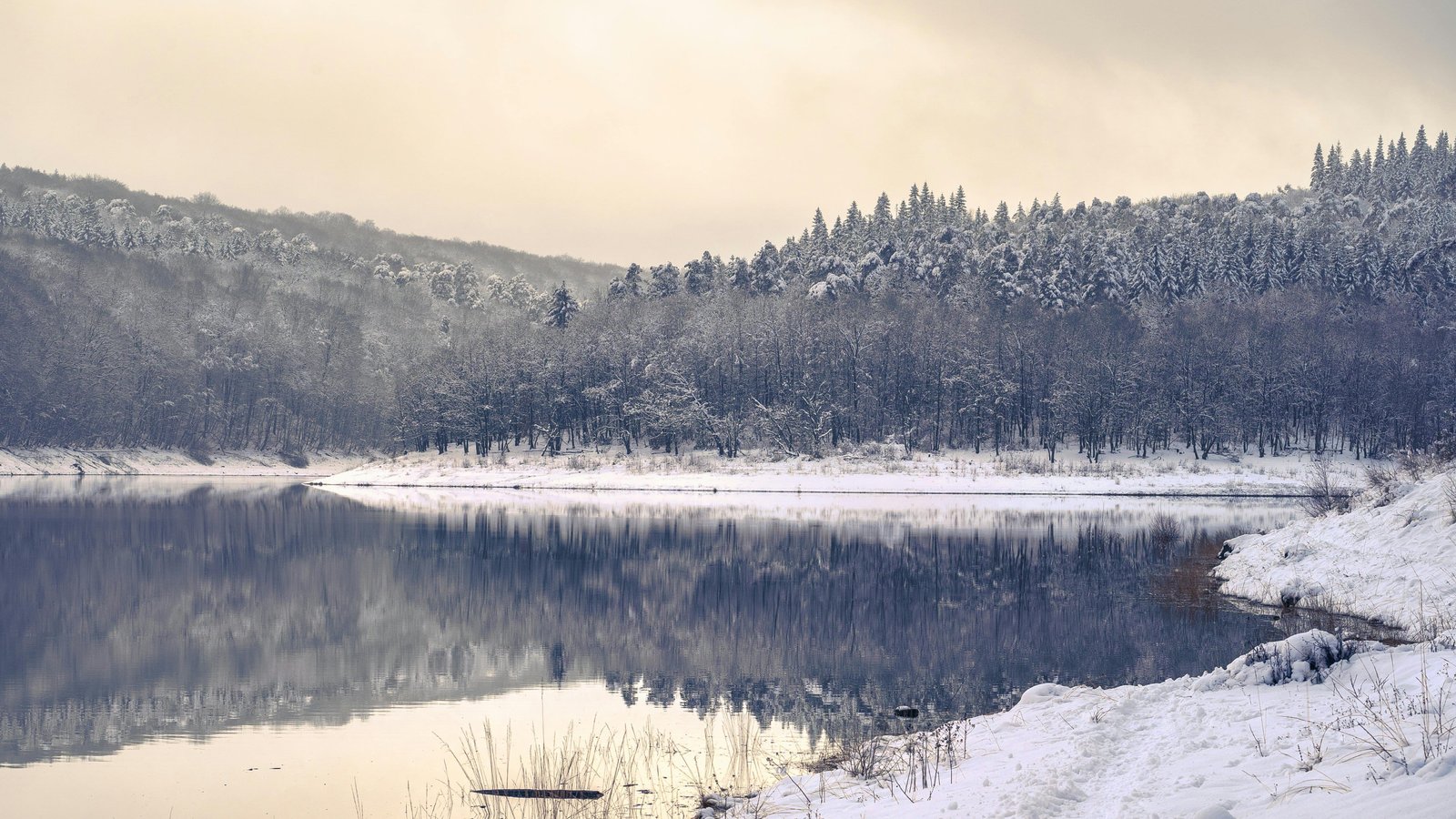 12 Real-World Examples of How Microclimates Create Completely Different Weather Just Miles Apart 4