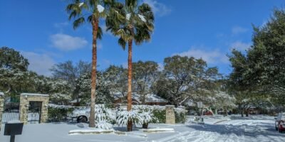 12 Real-World Examples of How Microclimates Create Completely Different Weather Just Miles Apart 31