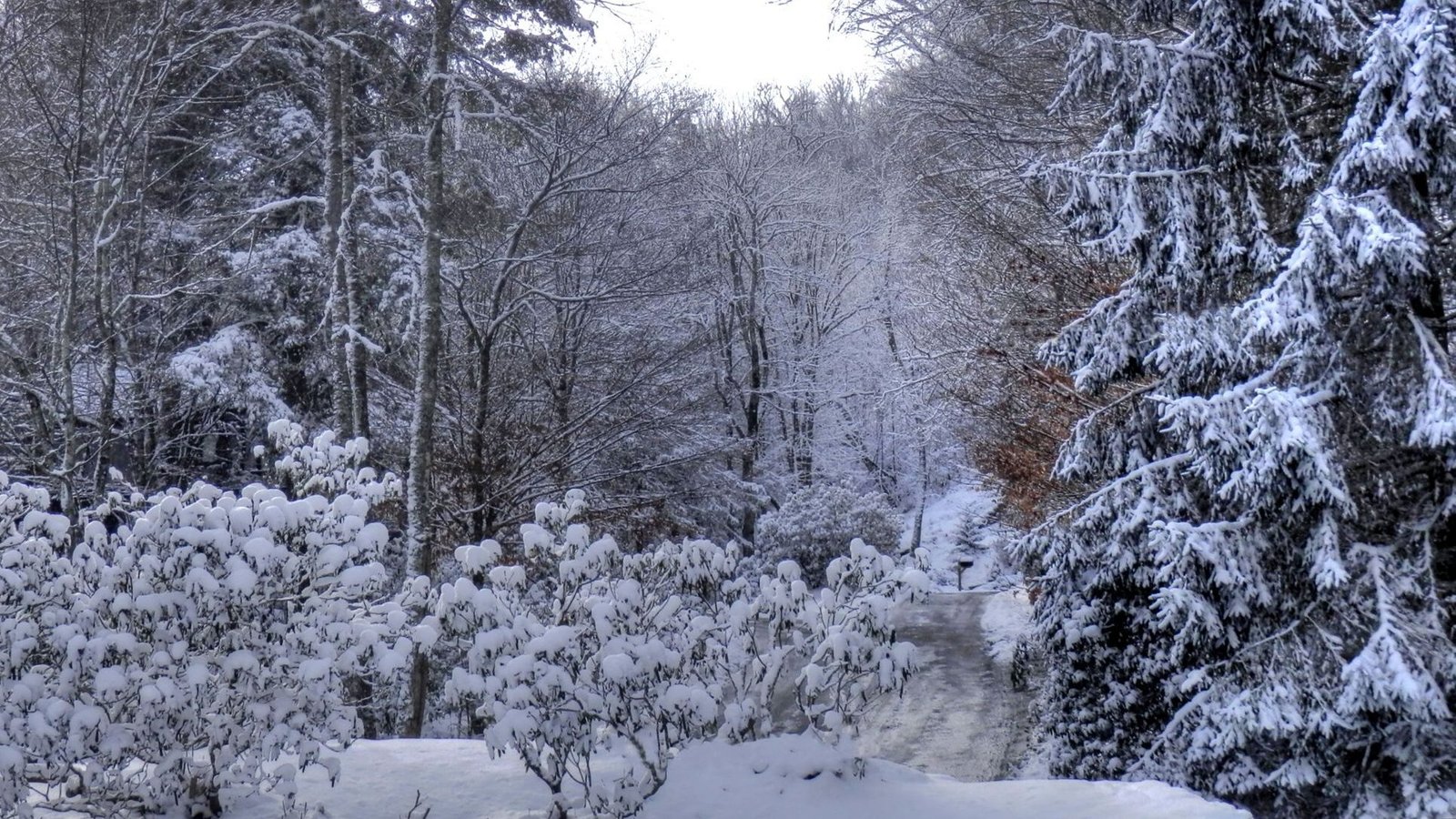 The Town in Every State That Belongs in a Hallmark Winter Movie 33