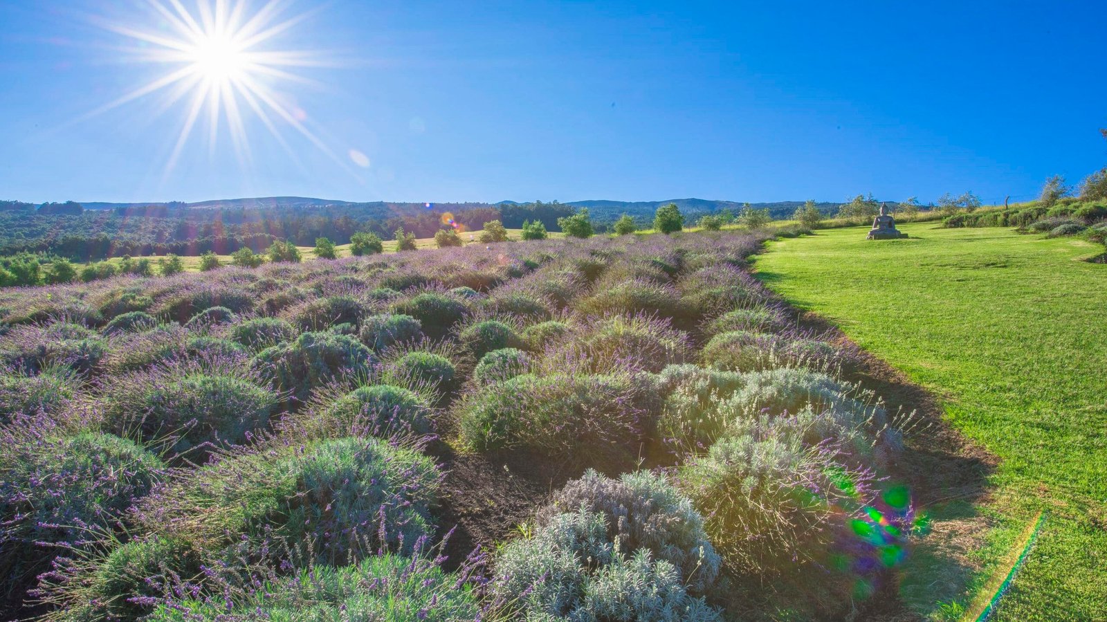 The Coolest Summer Escape in Every State When the Heat Gets Brutal 11