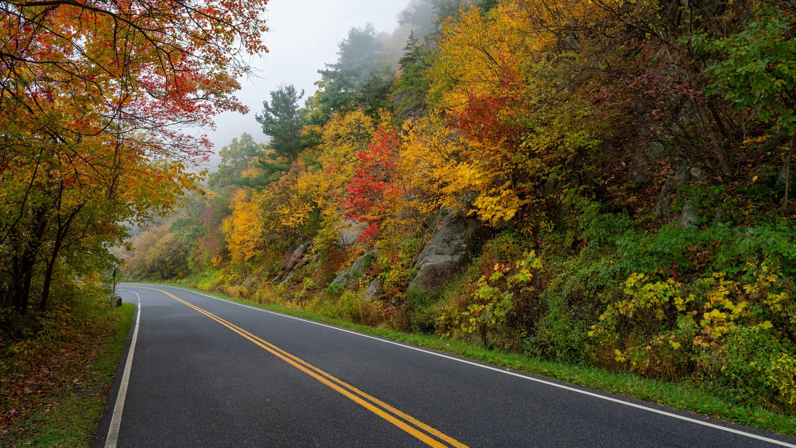 The Most Scenic Drive in Every US State 46