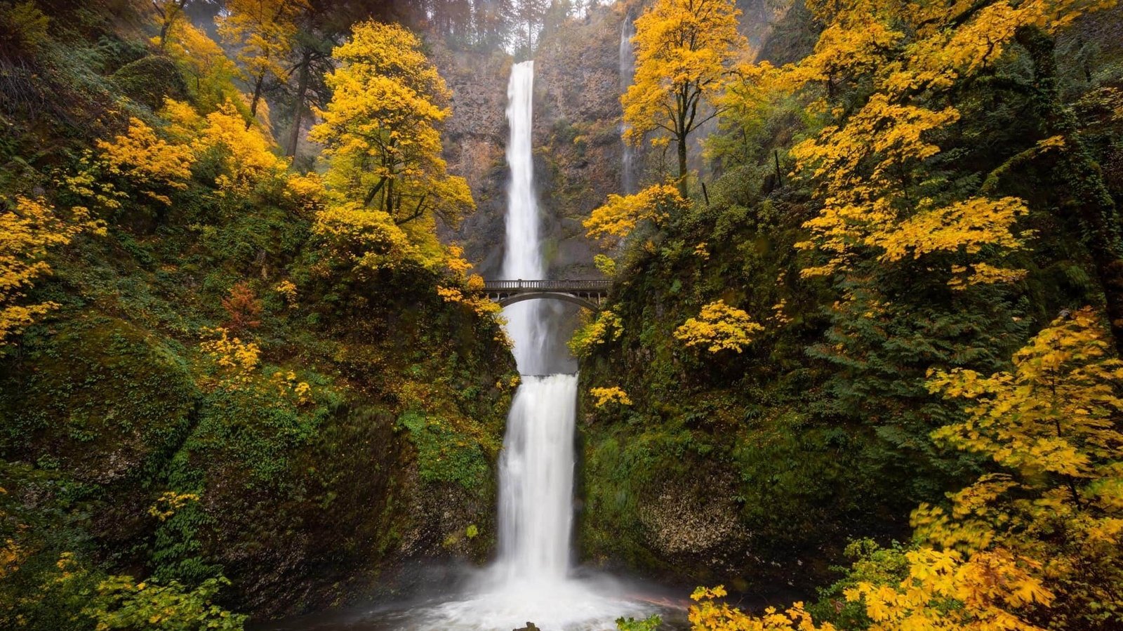 The Town in Every State Where Fall Colors Are Worth the Drive 37