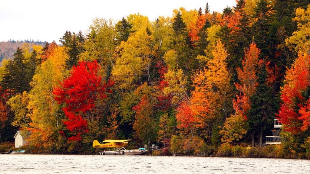 The Town in Every State Where Fall Colors Are Worth the Drive 19