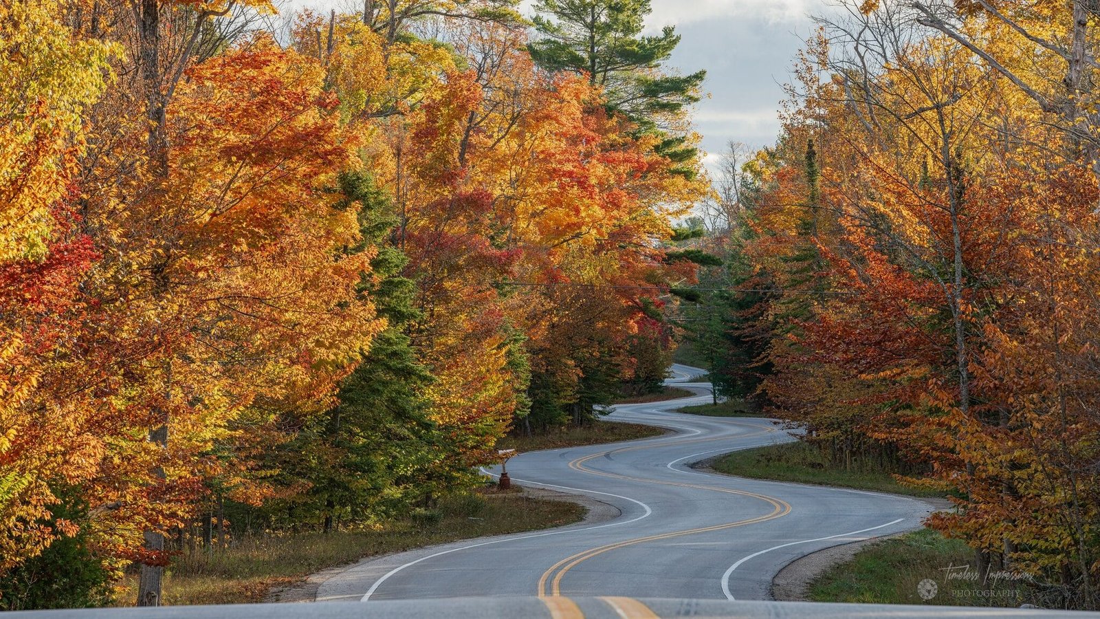 The Most Scenic Drive in Every US State 48
