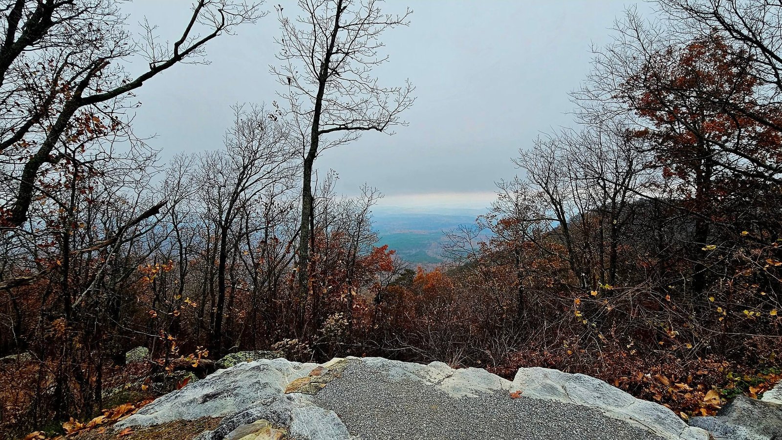 The Most Scenic Drive in Every US State 1