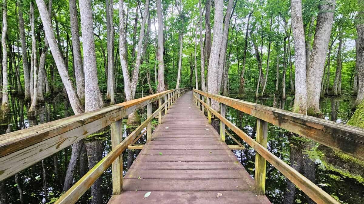 The Best Thunderstorm Watching Spot in Every U.S. State 24