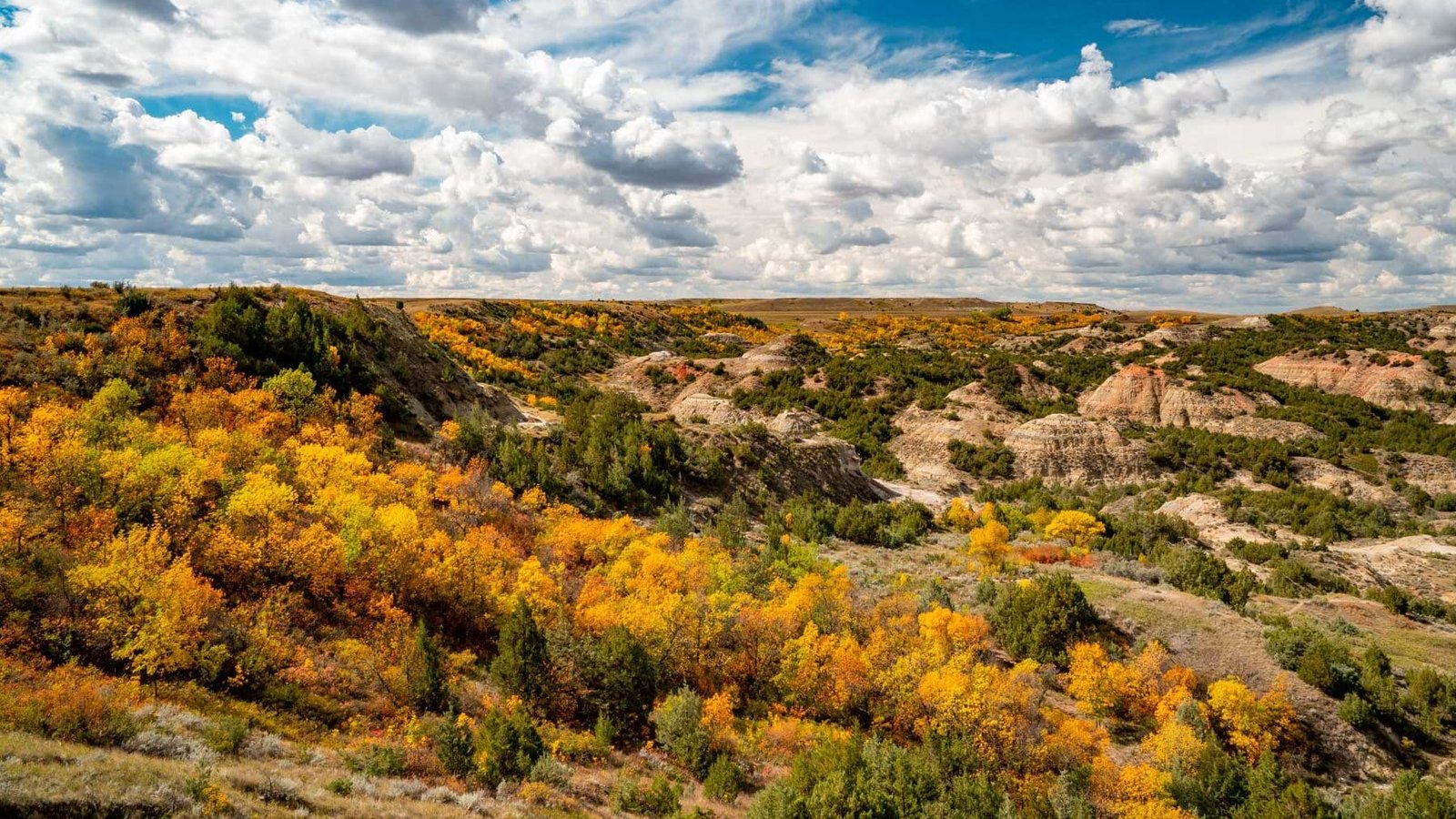 The Town in Every State Where Fall Colors Are Worth the Drive 34