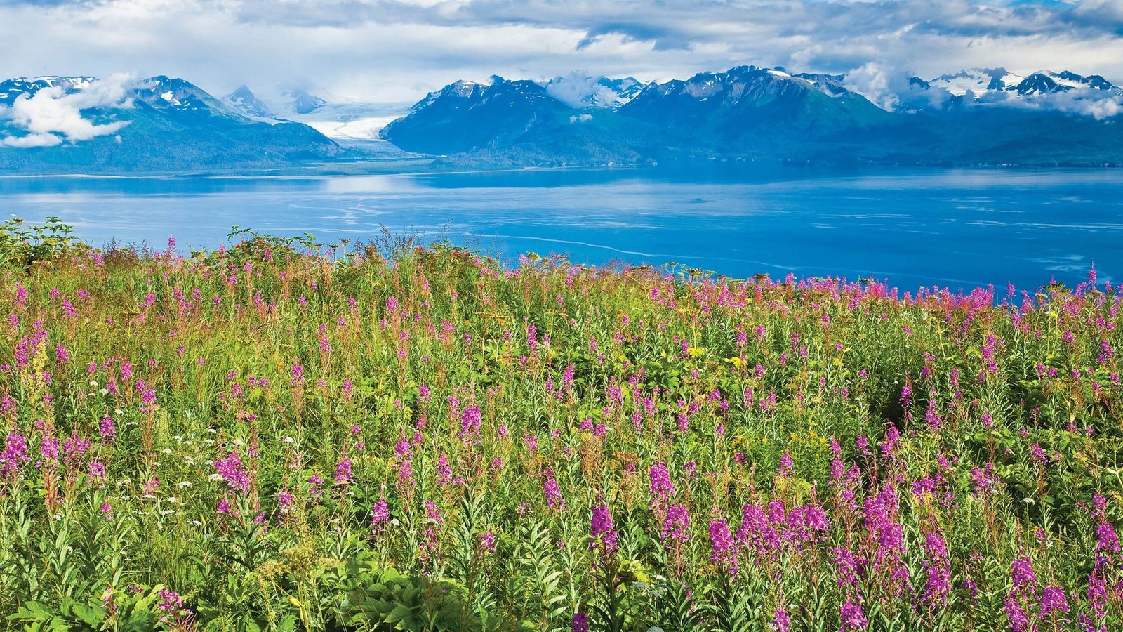The Coolest Summer Escape in Every State When the Heat Gets Brutal 2