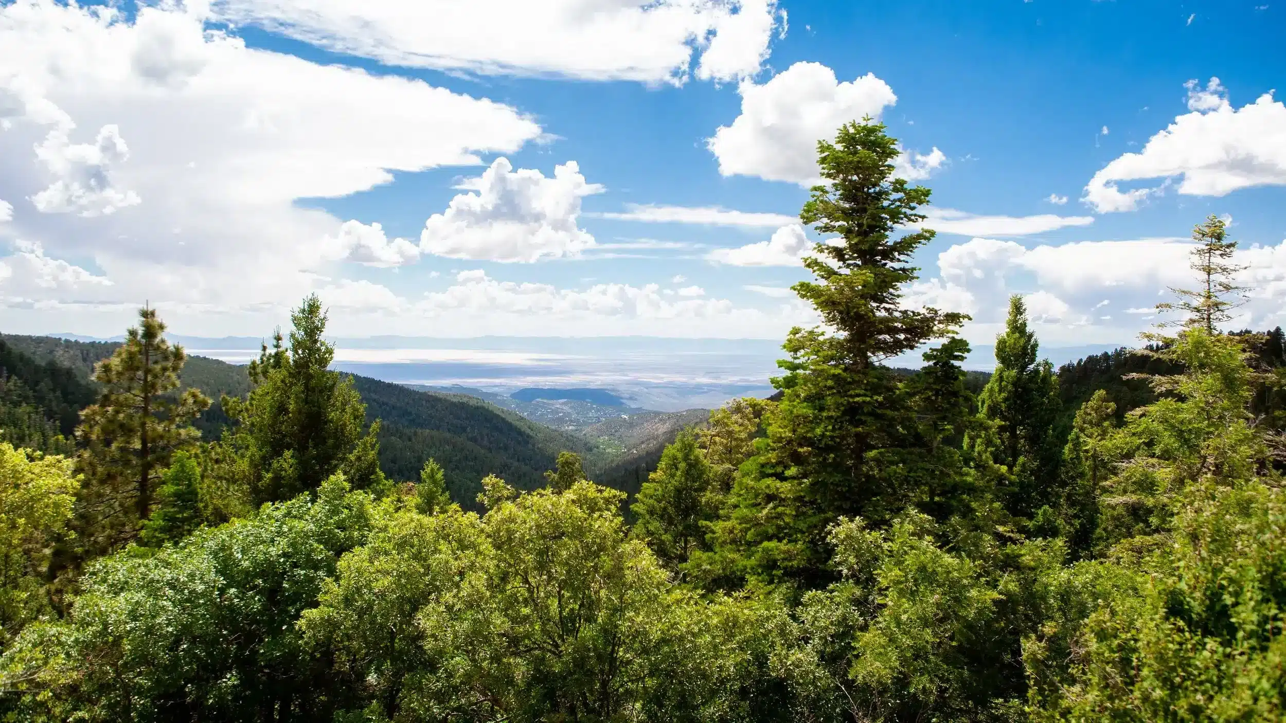 The Coolest Summer Escape in Every State When the Heat Gets Brutal 31