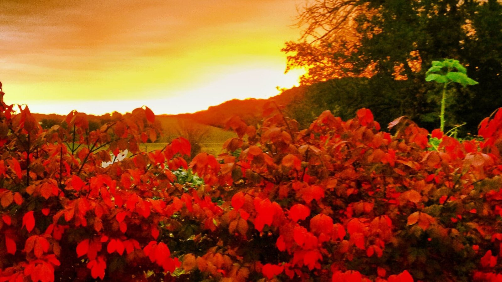 The Town in Every State Where Fall Colors Are Worth the Drive 25