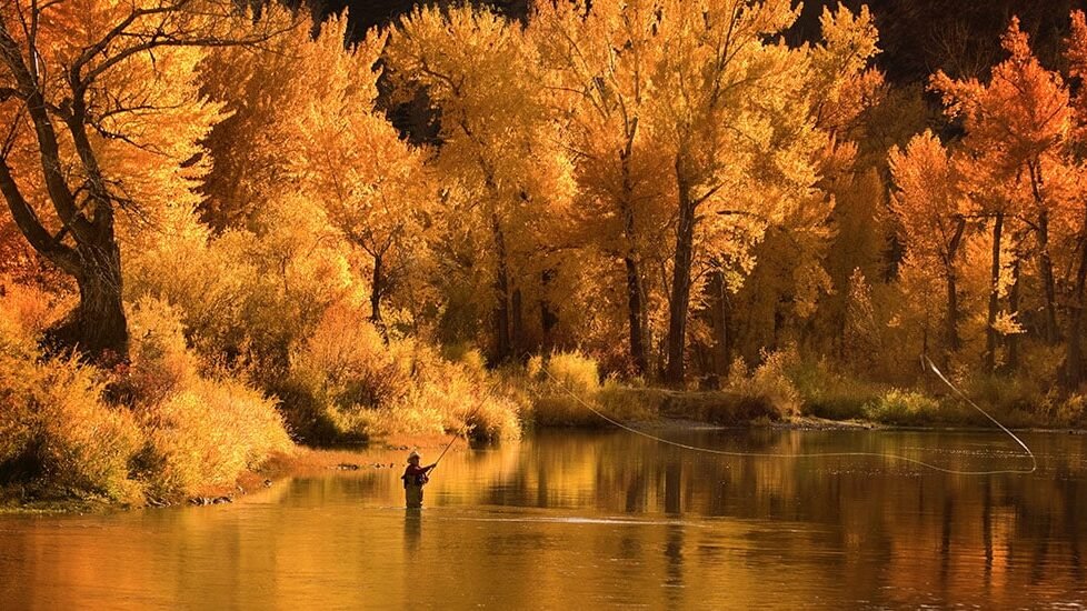 The Town in Every State Where Fall Colors Are Worth the Drive 12