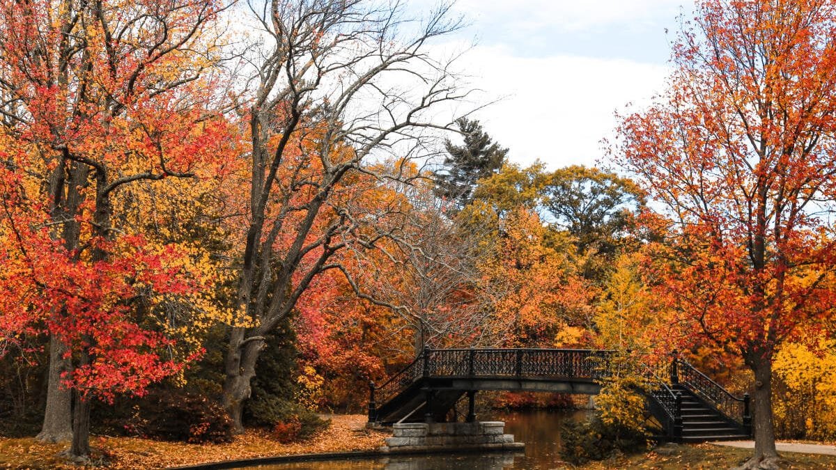 The Town in Every State Where Fall Colors Are Worth the Drive 39