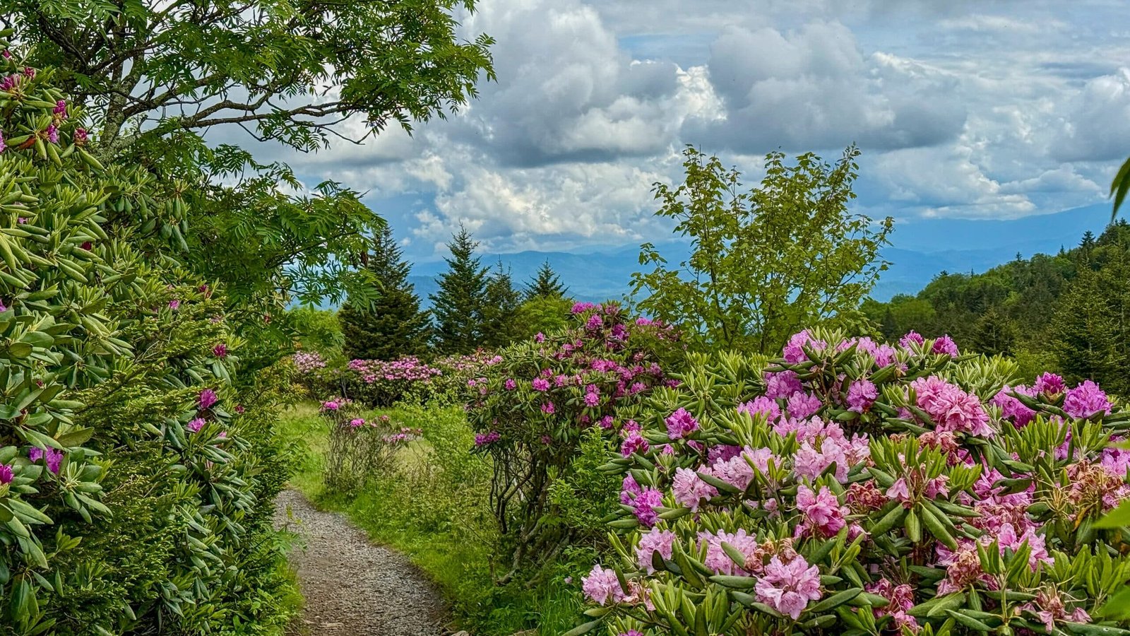 The Coolest Summer Escape in Every State When the Heat Gets Brutal 42