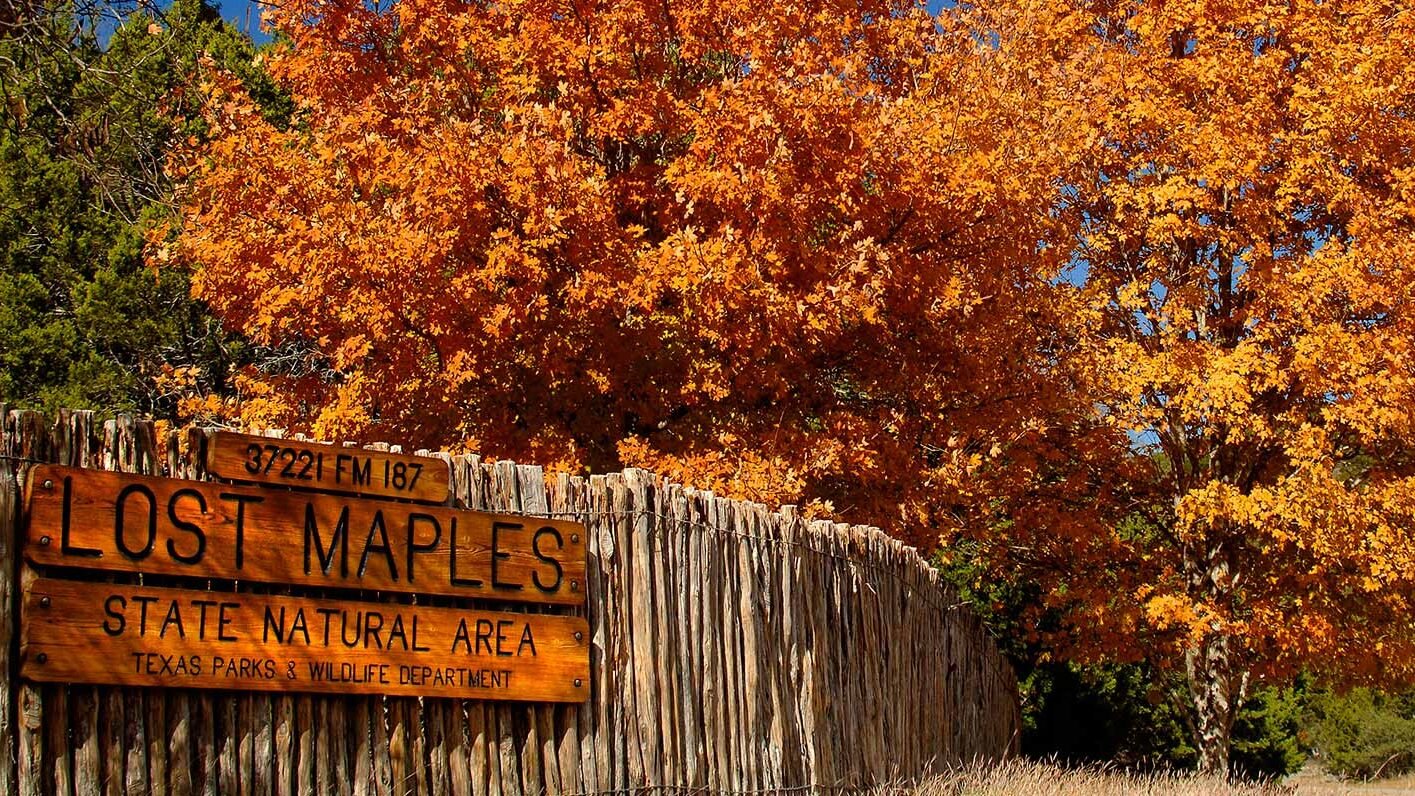 The Town in Every State Where Fall Colors Are Worth the Drive 43