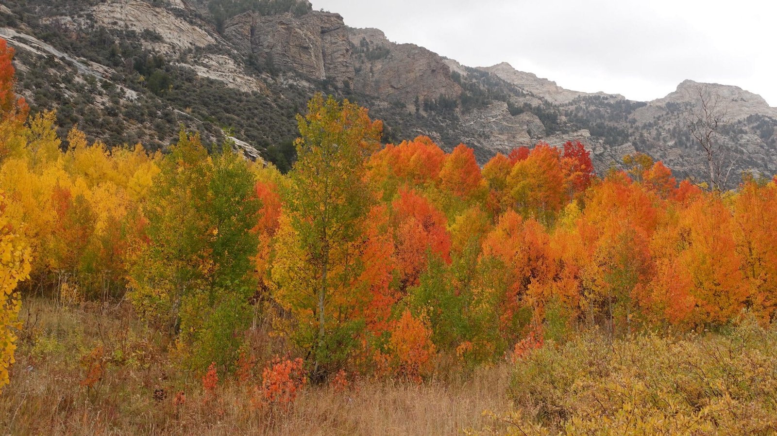 The Town in Every State Where Fall Colors Are Worth the Drive 28