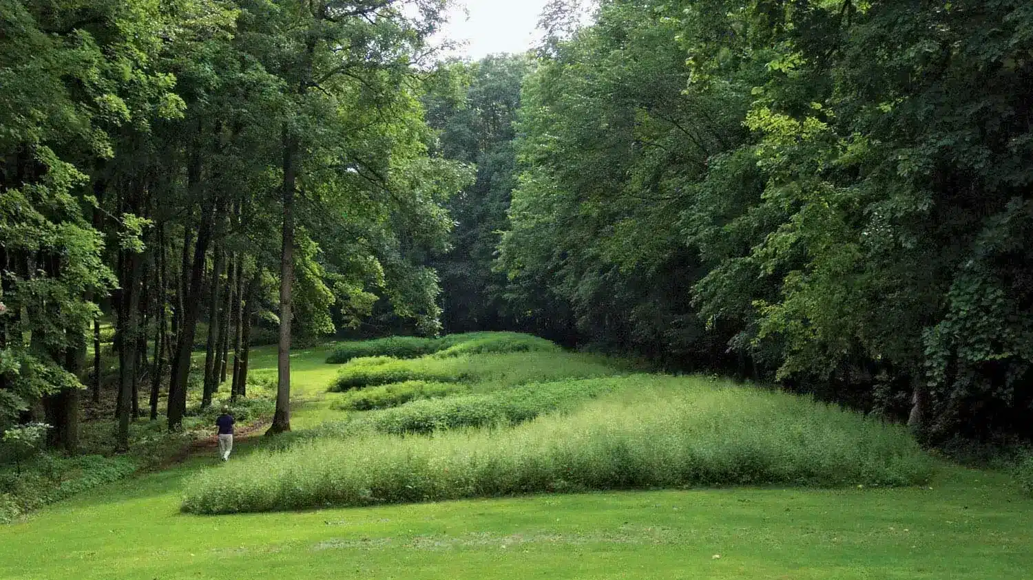 The Best Thunderstorm Watching Spot in Every U.S. State 15