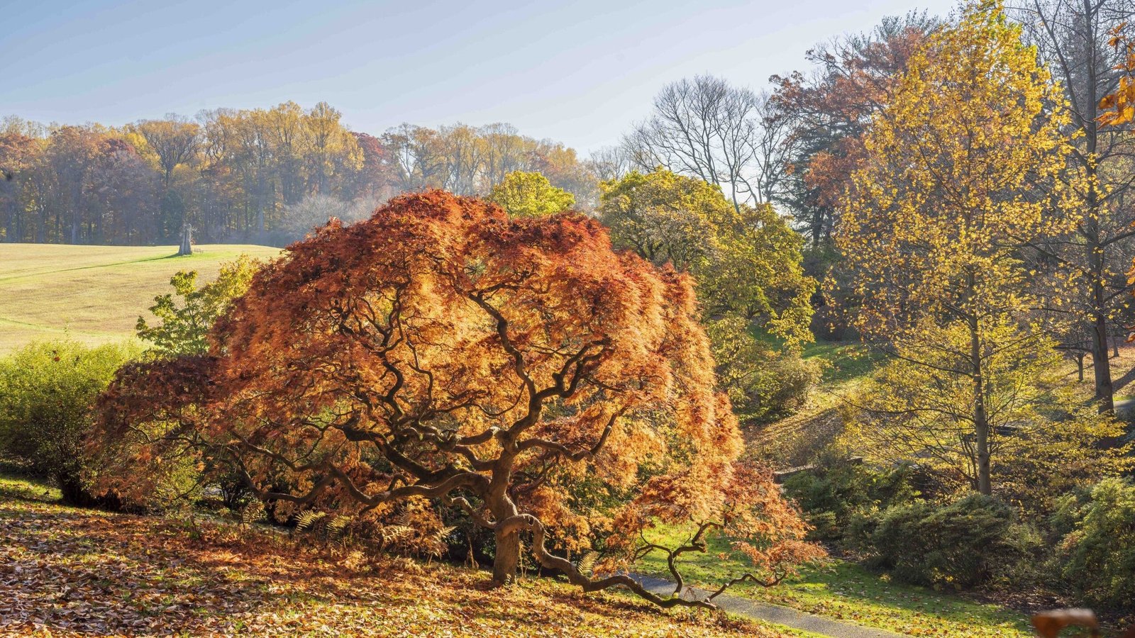 The Town in Every State Where Fall Colors Are Worth the Drive 8