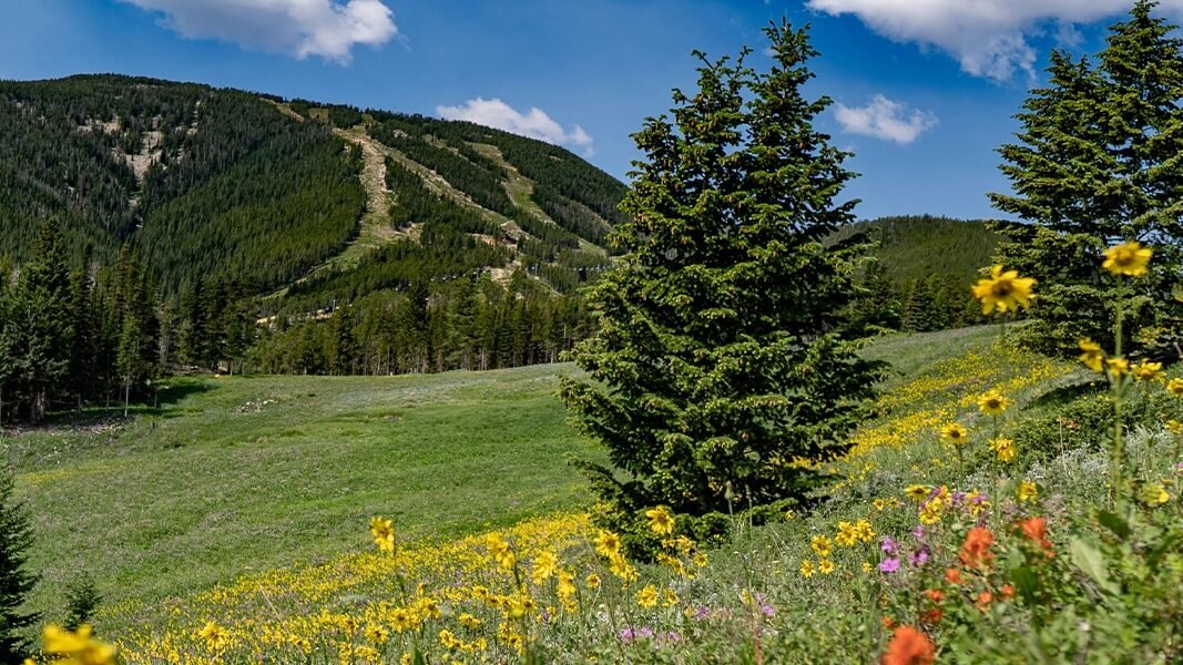 The Coolest Summer Escape in Every State When the Heat Gets Brutal 26