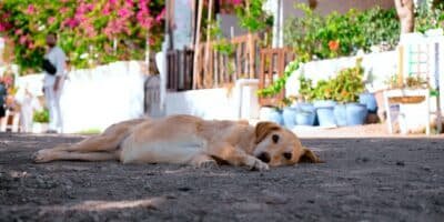 10 Lesser Known Heat Index Risks That Go Beyond Just Feeling Hot 3