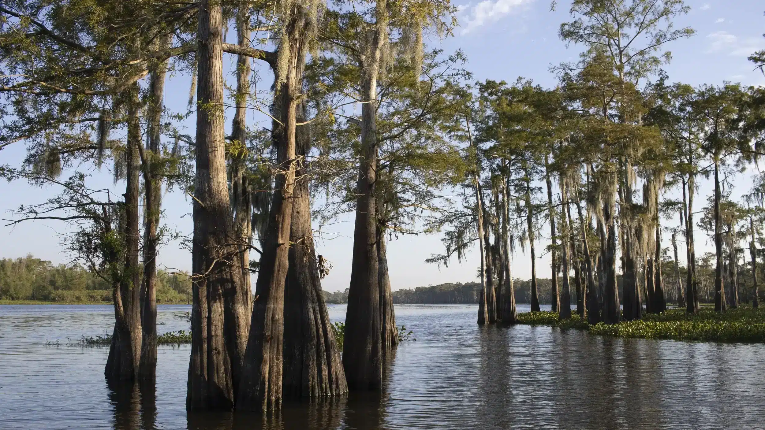 The Best Thunderstorm Watching Spot in Every U.S. State 18