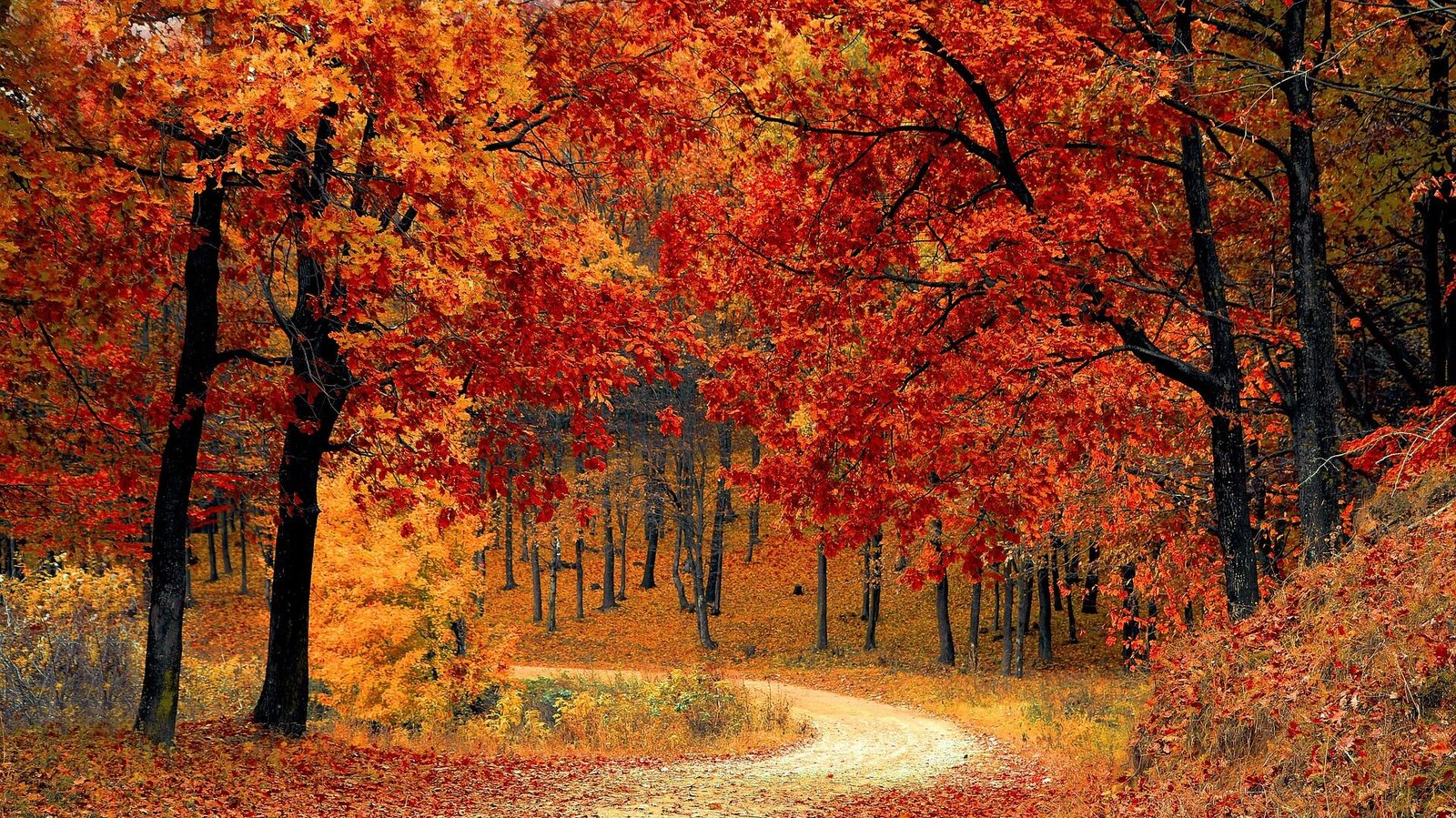 The Town in Every State Where Fall Colors Are Worth the Drive 18