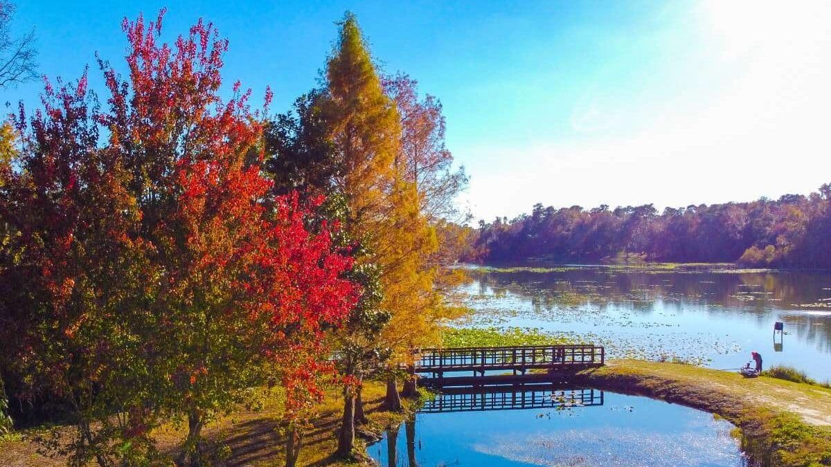 The Town in Every State Where Fall Colors Are Worth the Drive 9