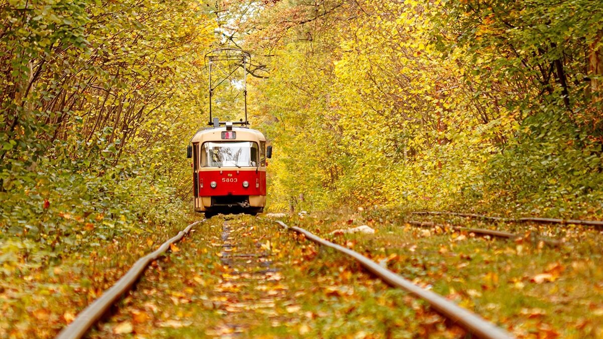 The Town in Every State Where Fall Colors Are Worth the Drive 38