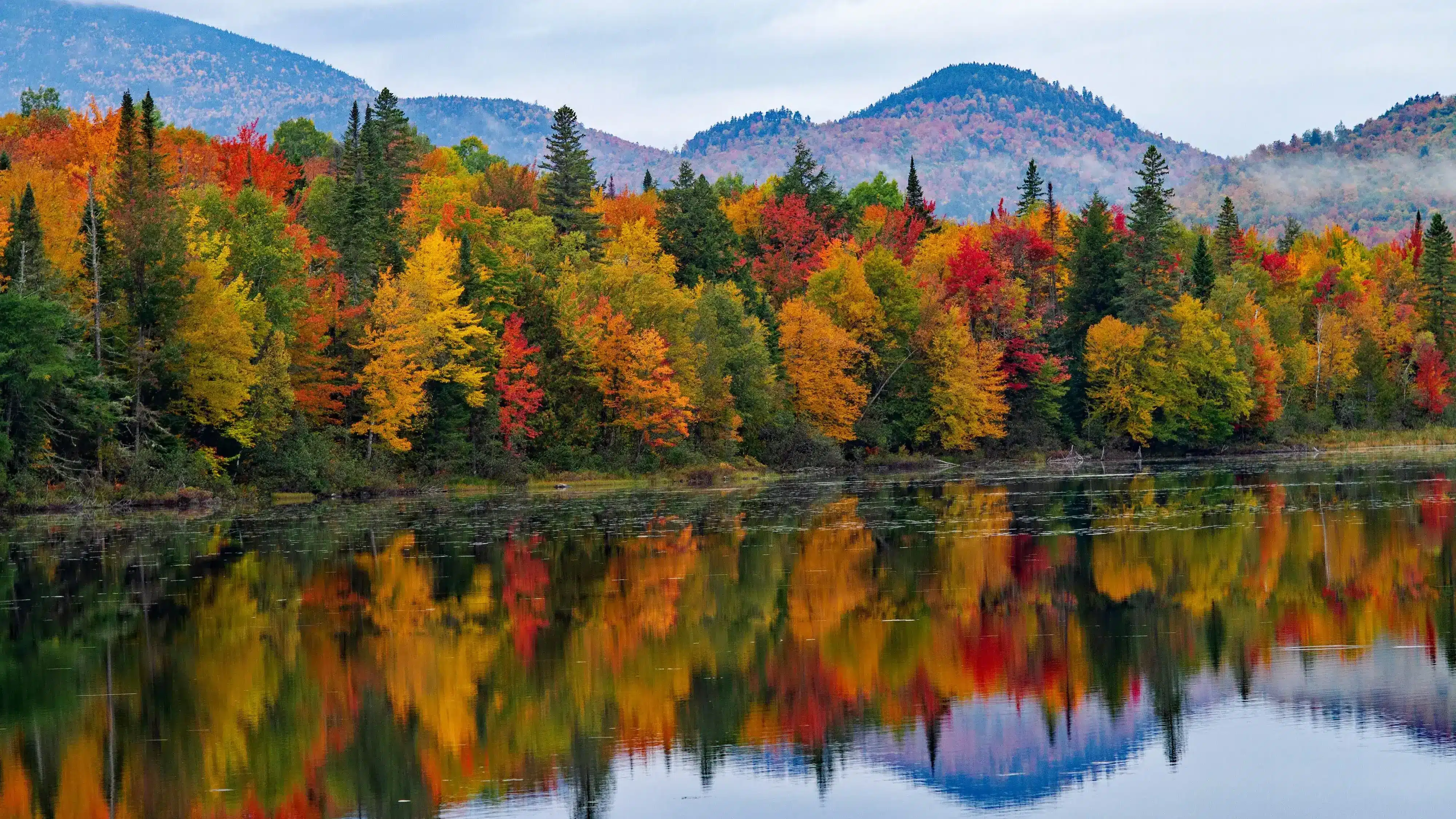 The Town in Every State Where Fall Colors Are Worth the Drive 20