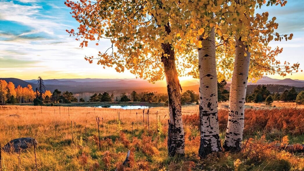 The Town in Every State Where Fall Colors Are Worth the Drive 3