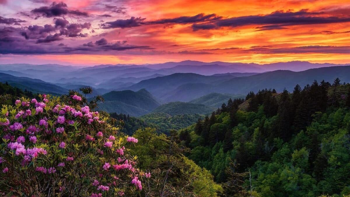 The Coolest Summer Escape in Every State When the Heat Gets Brutal 33