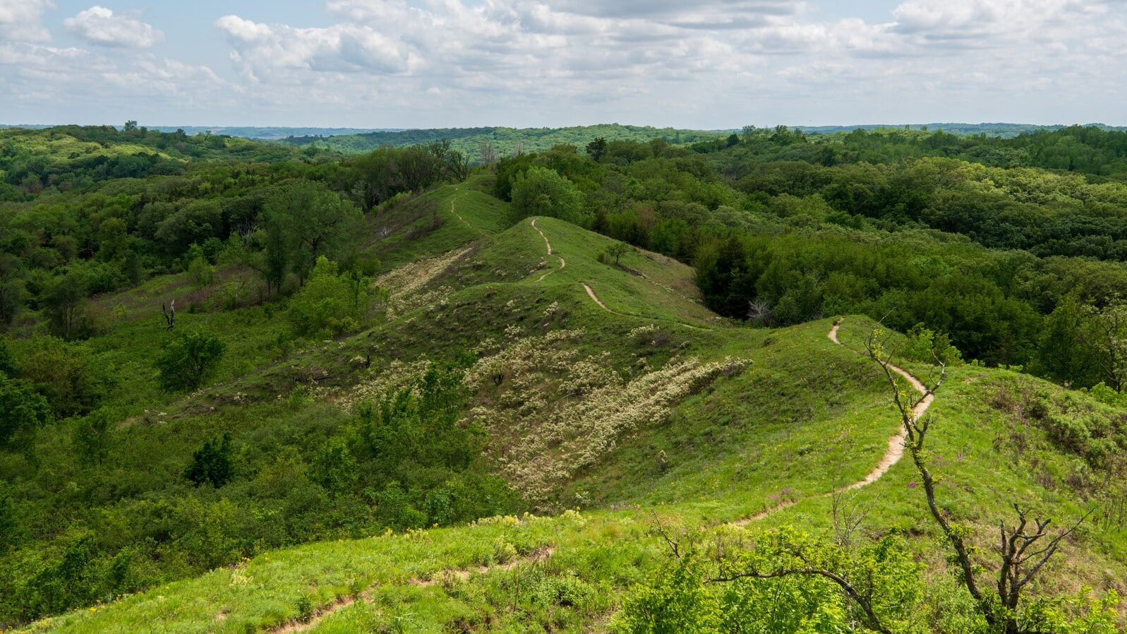 The Most Scenic Drive in Every US State 15