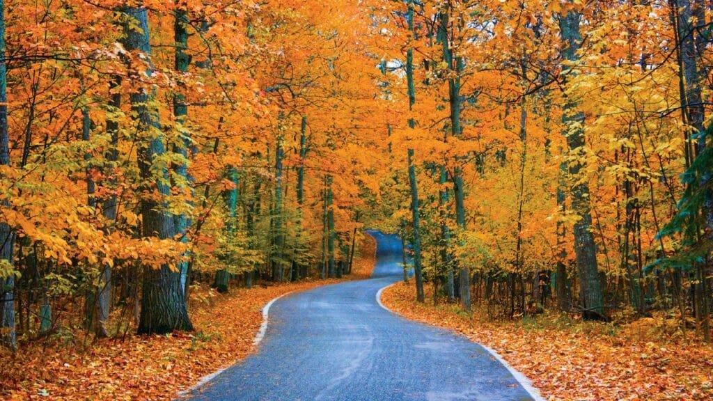 The Most Scenic Drive in Every US State 22