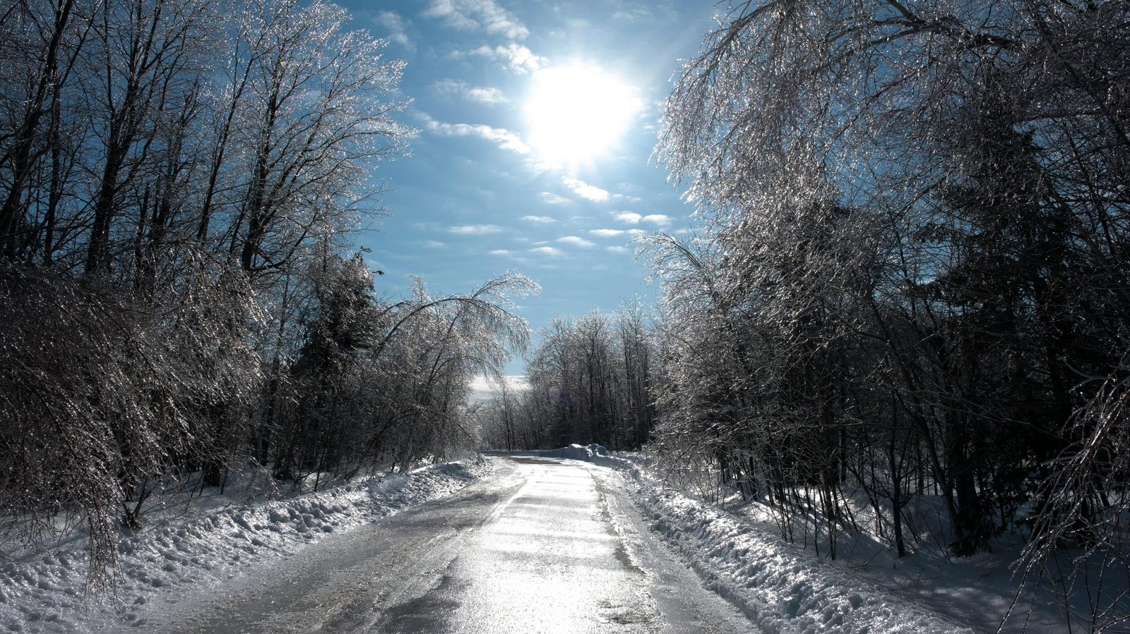 You Grew Up in New England If You Know These 15 Winter Traditions 15