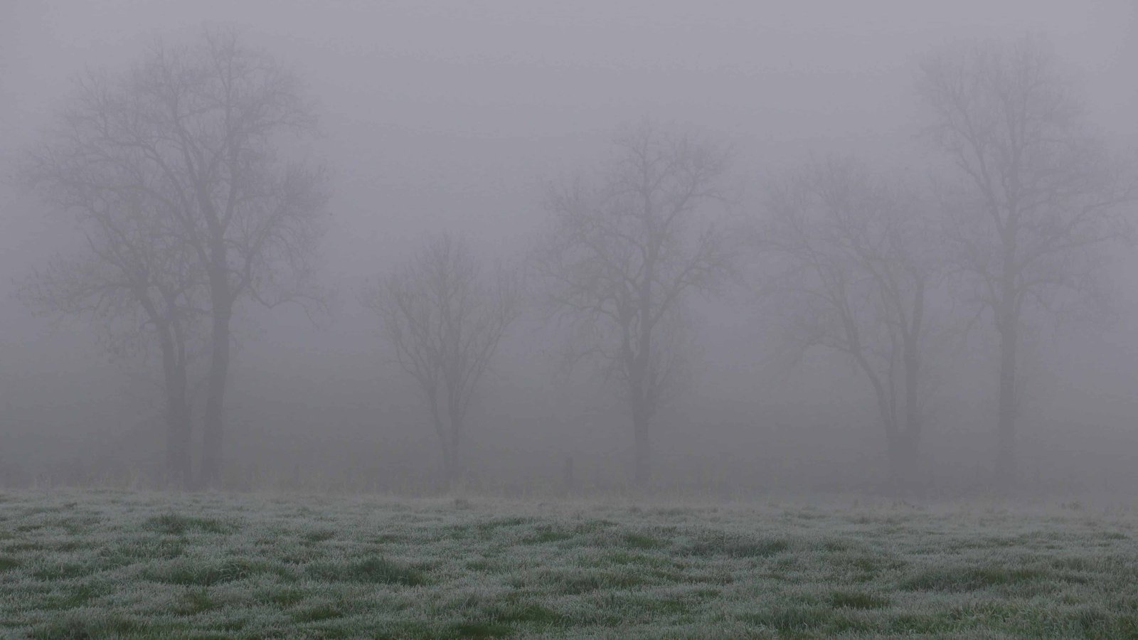 12 Weather Conditions That Make Joint Pain and Arthritis Worse 10