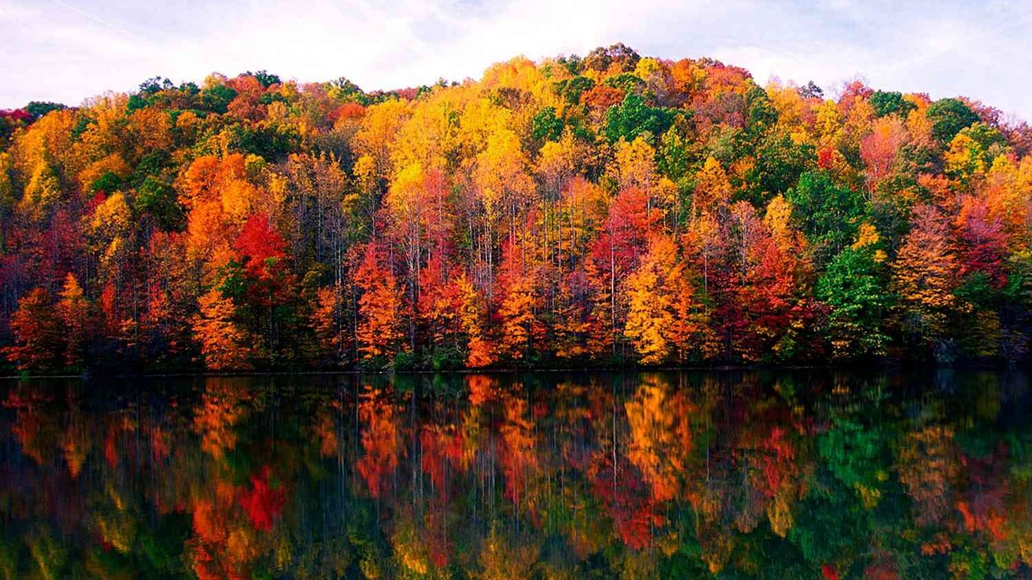 The Town in Every State Where Fall Colors Are Worth the Drive 48